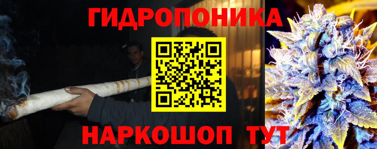 Канабис семена Мичуринск